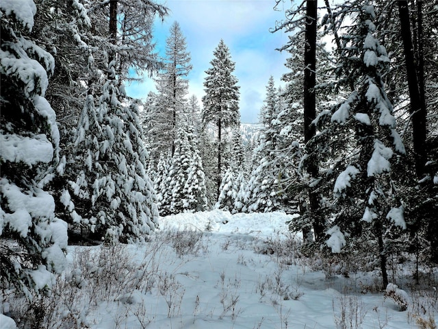 LOT2 Bayside Ln, Trout Creek, MT 59874