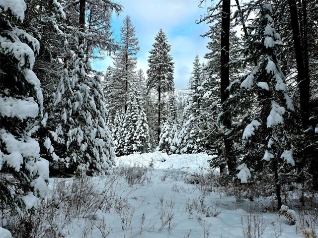 NHN Bayside Lane, Trout Creek, MT 59874