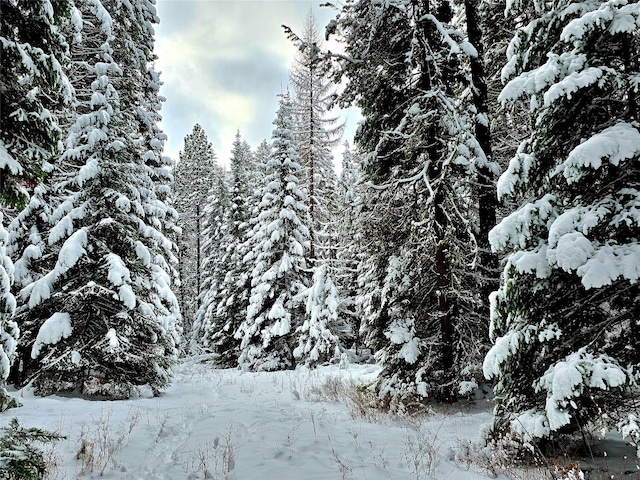 LOT2 Bayside Ln, Trout Creek, MT 59874