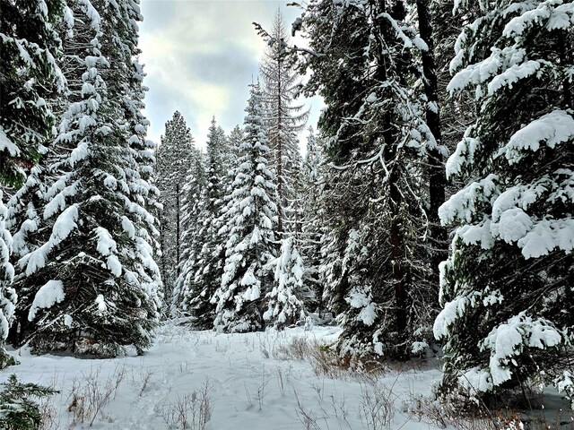 NHN Bayside Lane, Trout Creek, MT 59874