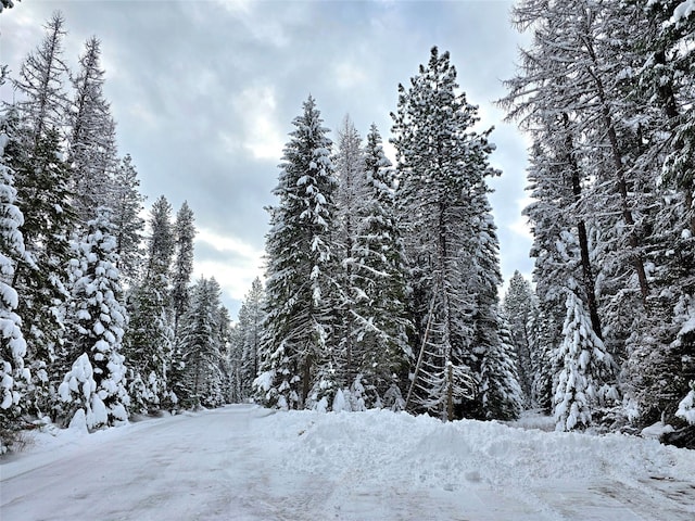 LOT2 Bayside Ln, Trout Creek, MT 59874