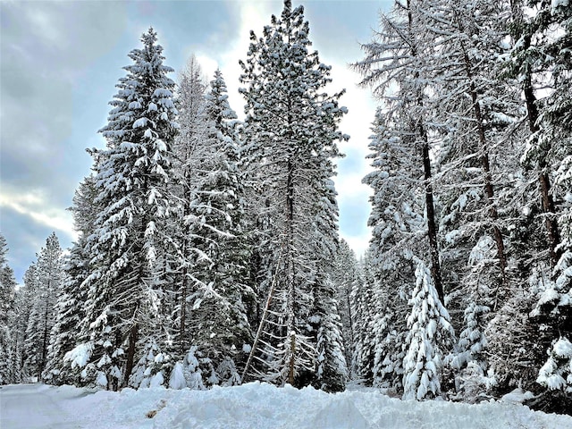 LOT2 Bayside Ln, Trout Creek, MT 59874