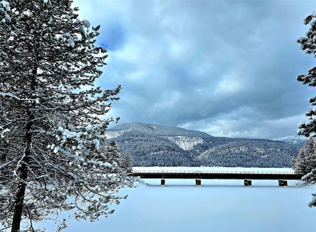 LOT2 Bayside Ln, Trout Creek, MT 59874