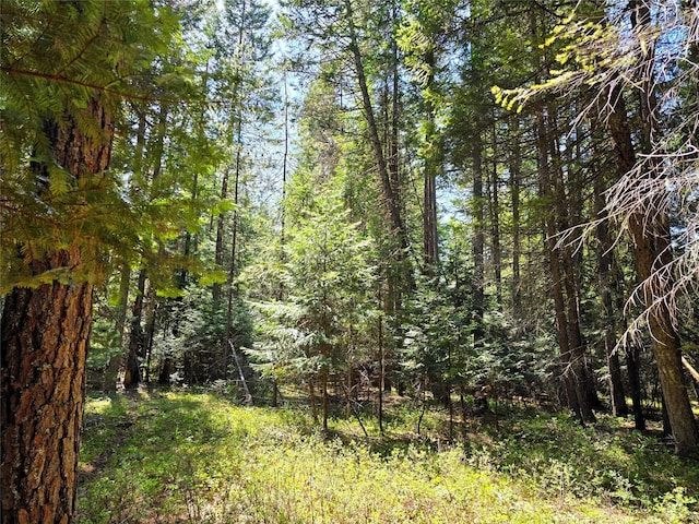LOT2 Bayside Ln, Trout Creek, MT 59874
