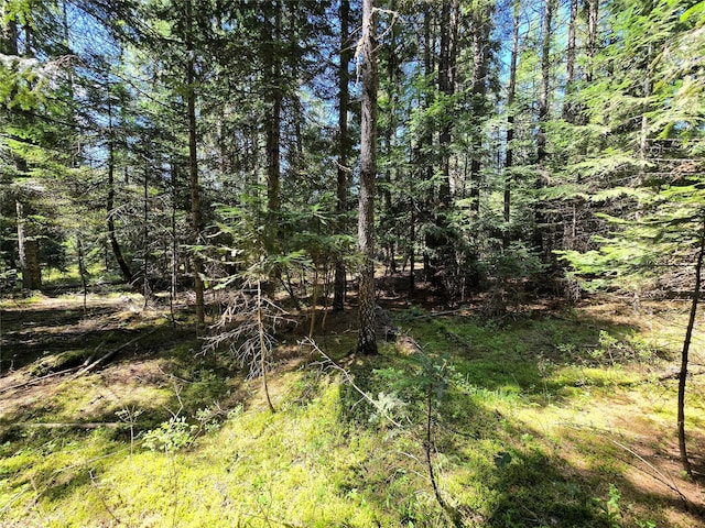 LOT2 Bayside Ln, Trout Creek, MT 59874