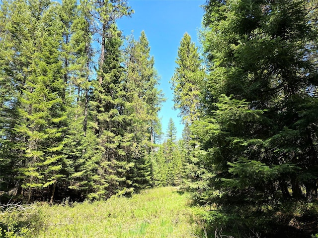 LOT2 Bayside Ln, Trout Creek, MT 59874