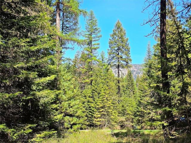 LOT2 Bayside Ln, Trout Creek, MT 59874