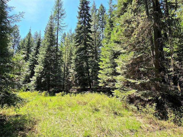 LOT2 Bayside Ln, Trout Creek, MT 59874