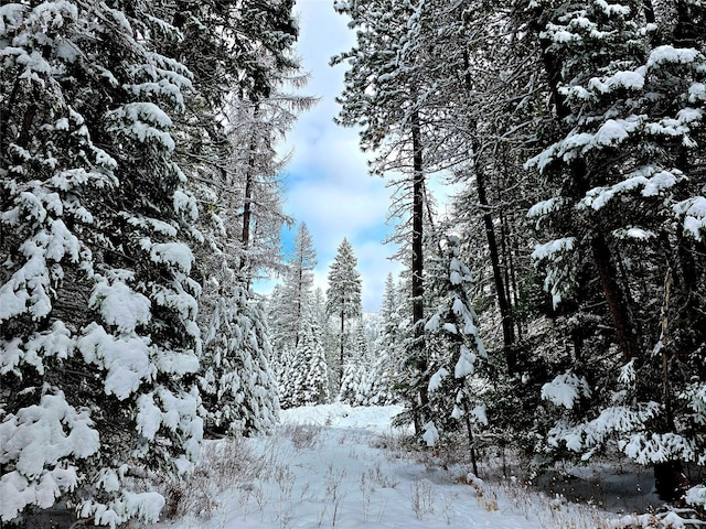 LOT2 Bayside Ln, Trout Creek, MT 59874