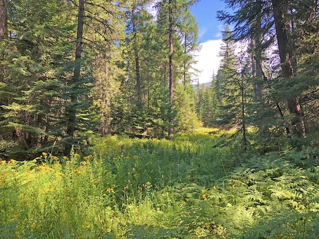 LOT2 Bayside Ln, Trout Creek, MT 59874