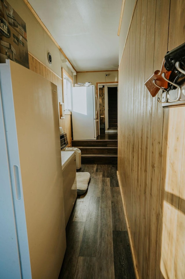 hallway featuring dark wood-type flooring and wooden walls