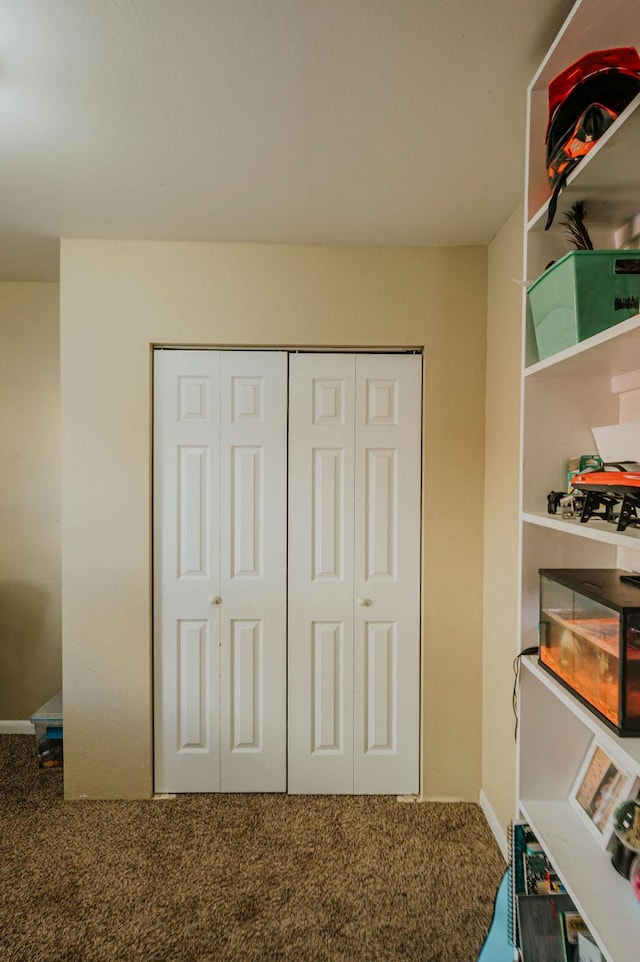 carpeted bedroom featuring a closet