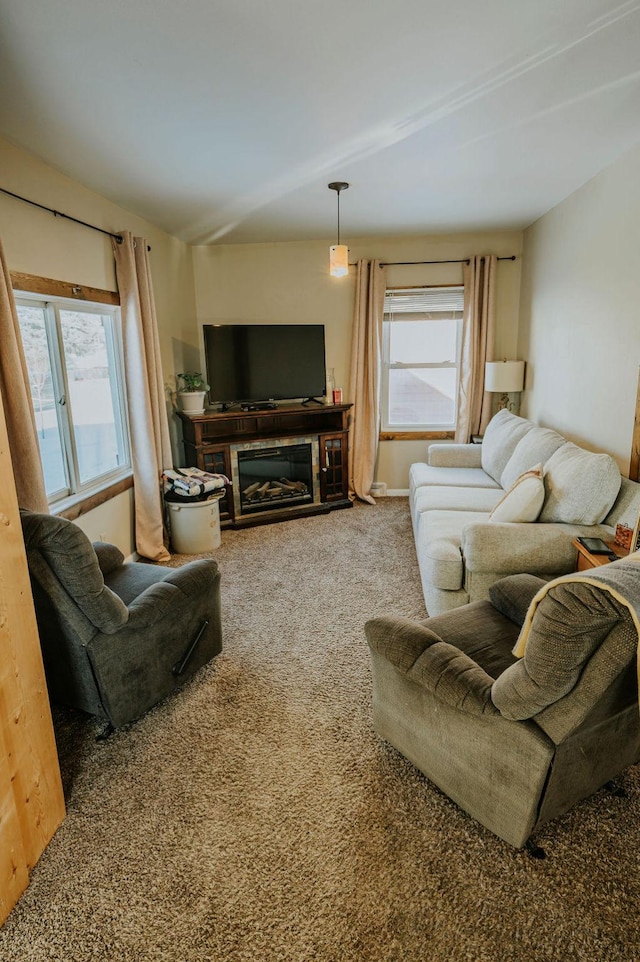 living room featuring a healthy amount of sunlight and carpet