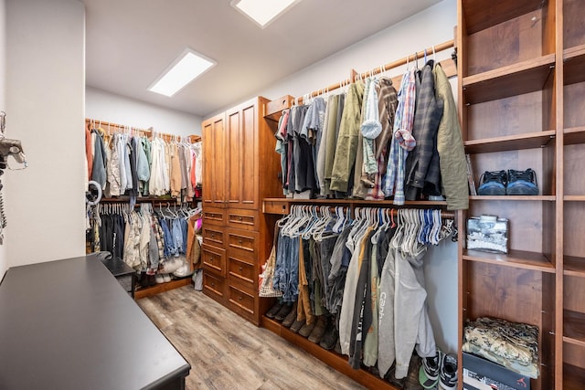 spacious closet featuring light wood-type flooring