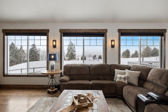 living room with hardwood / wood-style flooring