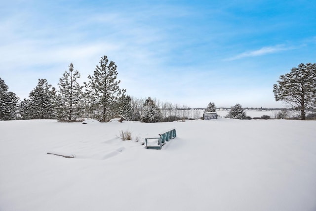 view of yard layered in snow