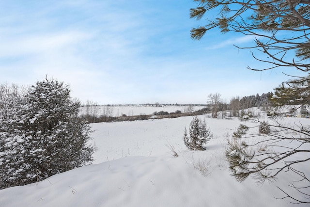 view of yard layered in snow