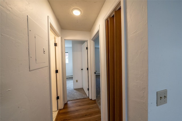 hall with hardwood / wood-style floors