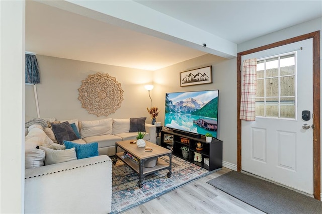 living area with wood finished floors