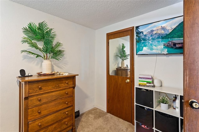 doorway to outside featuring carpet and a textured ceiling