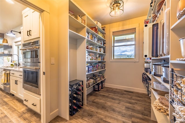 pantry with sink