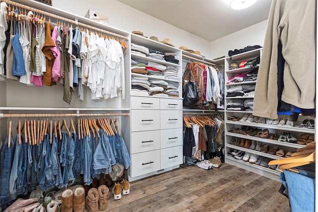 walk in closet featuring hardwood / wood-style flooring