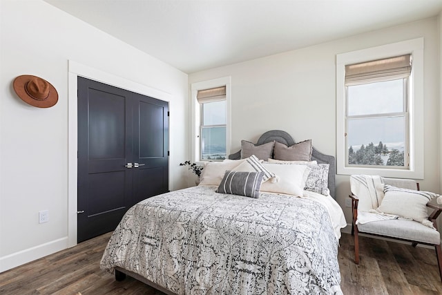 bedroom featuring dark hardwood / wood-style floors and a closet