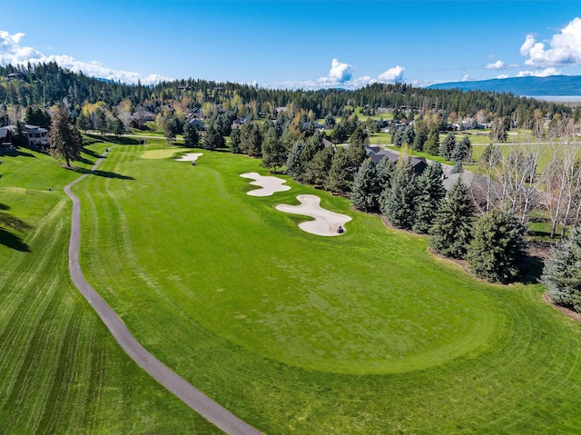 107 Whitetail Ct, Bigfork, MT 59911 - bird's eye view of a golf club