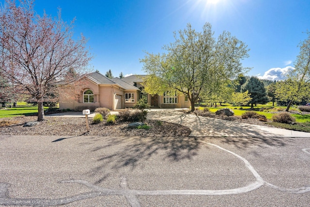107 Whitetail Ct, Bigfork, MT 59911 - view of front of house featuring curved driveway