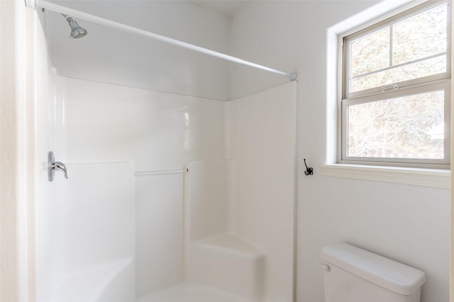 28 Talbot Pines Loop, Columbia Falls, MT 59912 - bathroom featuring healthy amount of natural light and a shower