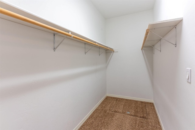 28 Talbot Pines Loop, Columbia Falls, MT 59912 - walk in closet with carpet floors