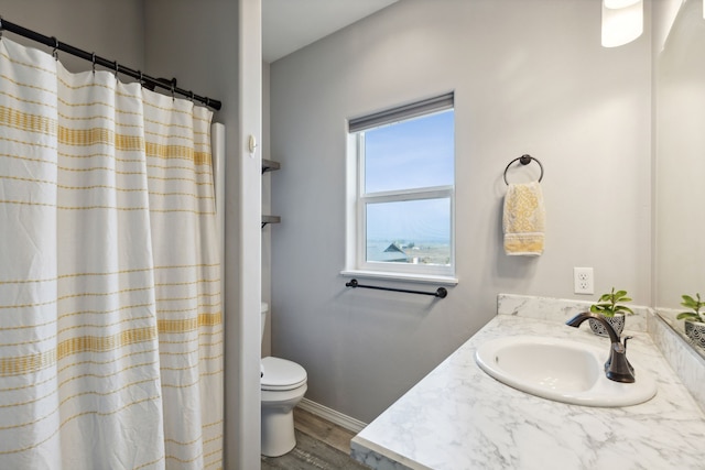 bathroom with wood-type flooring, vanity, and toilet