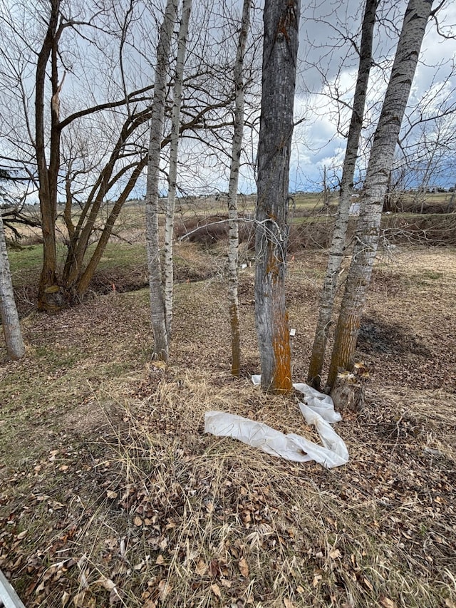 567 Ambrose Creek Rd, Stevensville, MT 59870