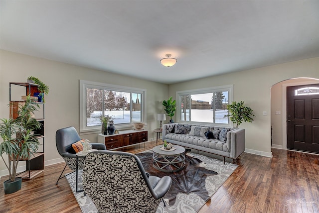 living room featuring a water view, a healthy amount of sunlight, and dark hardwood / wood-style flooring