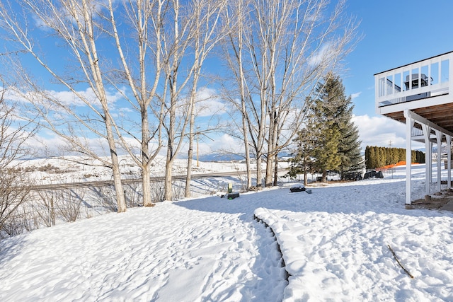 view of yard layered in snow