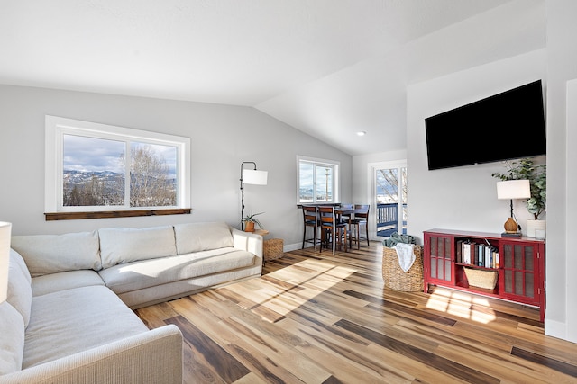 living room with lofted ceiling and wood-type flooring