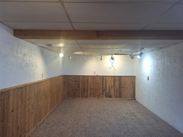 finished basement with wood walls, carpet, and wainscoting