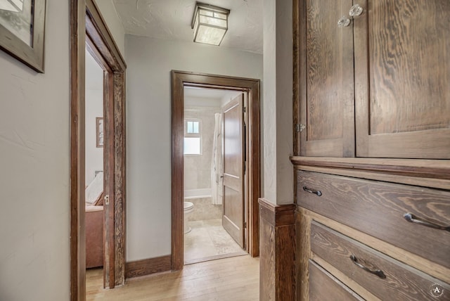 hallway with light hardwood / wood-style floors