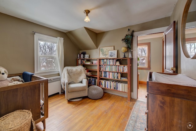 bedroom with lofted ceiling and light wood-type flooring