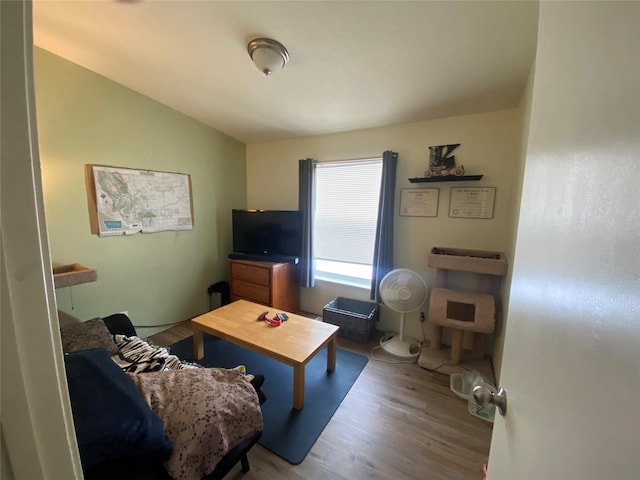 living room featuring wood-type flooring and lofted ceiling