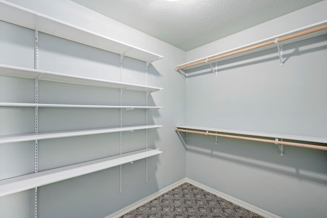 spacious closet with carpet