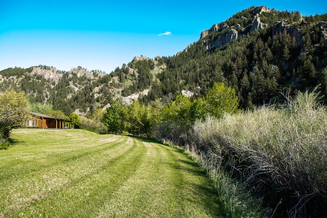68 River Dr, Cascade, MT 59421 - view of green lawn featuring a mountain view and a view of trees