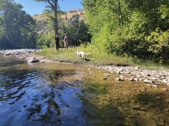 view of local wilderness