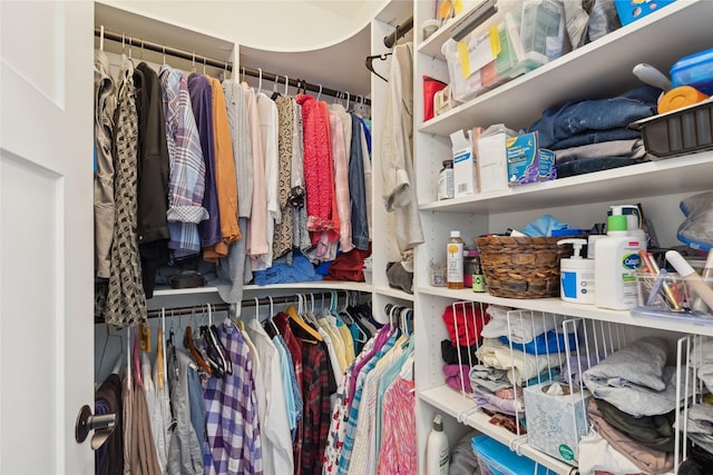 view of spacious closet