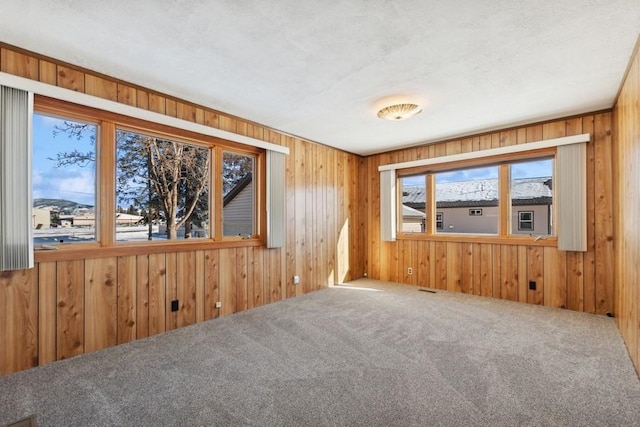 185 Veteran Dr, Columbia Falls, MT 59912 - unfurnished room featuring carpet flooring, wooden walls, and visible vents