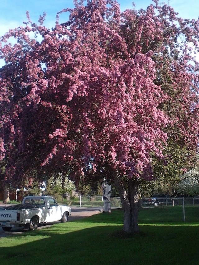 view of home's community featuring a yard