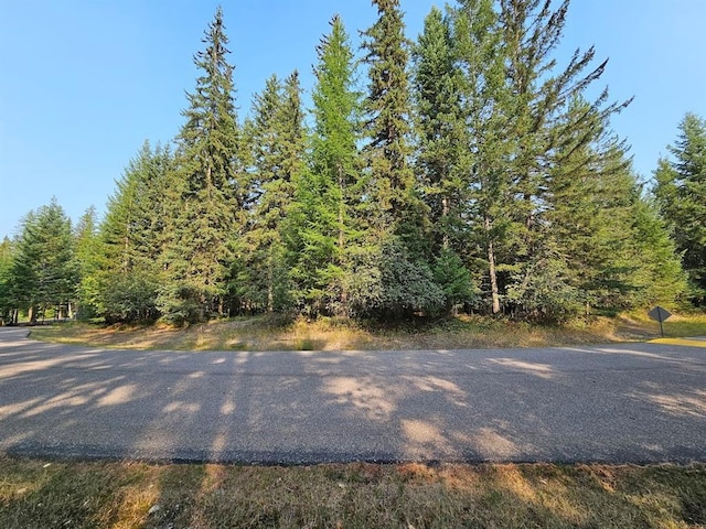 Listing photo 3 for 249 Pine Valley Loop, Columbia Falls MT 59912