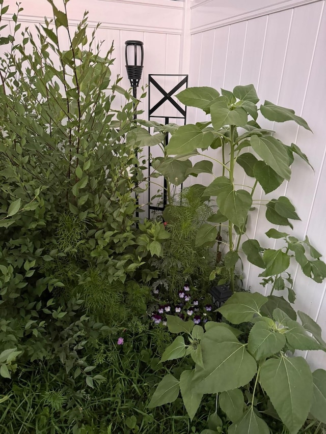 exterior details with fence