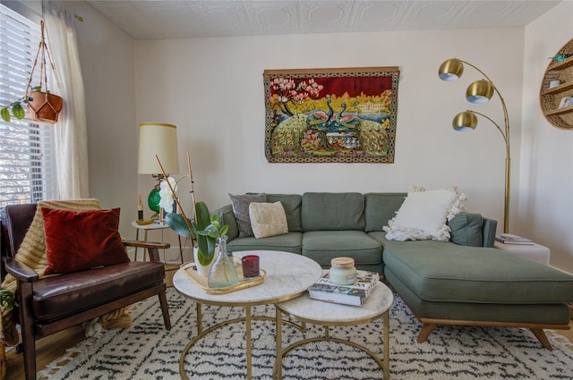 living area with wood finished floors