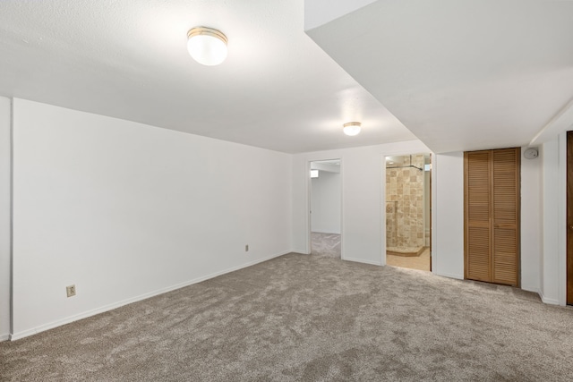 interior space with carpet